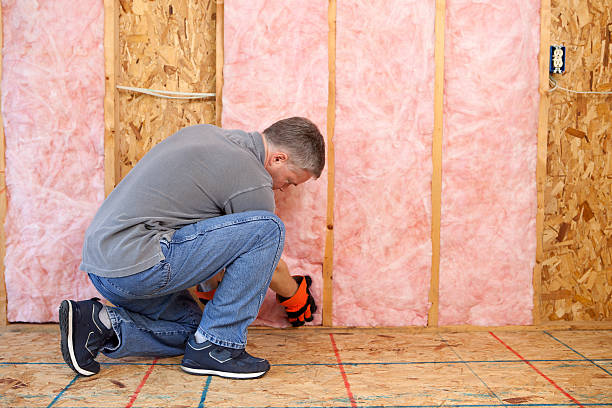 Attic Insulation Near Me in Citrus Springs, FL